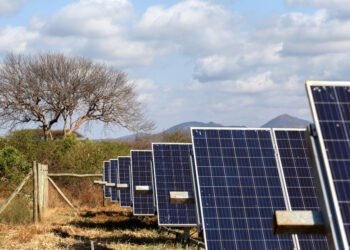 AllianzGI rolls out $1bn climate-focused EM credit fund