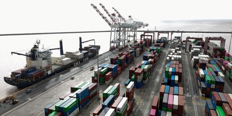 Argentina’s economic activity expected to grow 1.7% year-on-year in November: Reuters poll