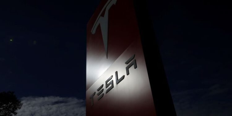 Australia’s Syrah Resources buys more time for Tesla graphite supply deal