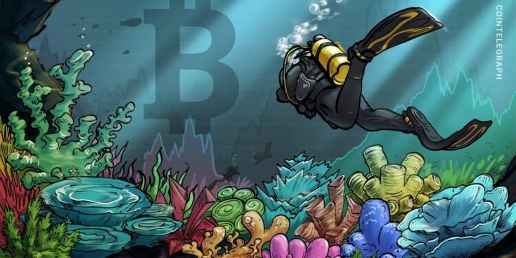 Bitcoin Analyst Says the Time is Right for the Next BTC Price Bottom