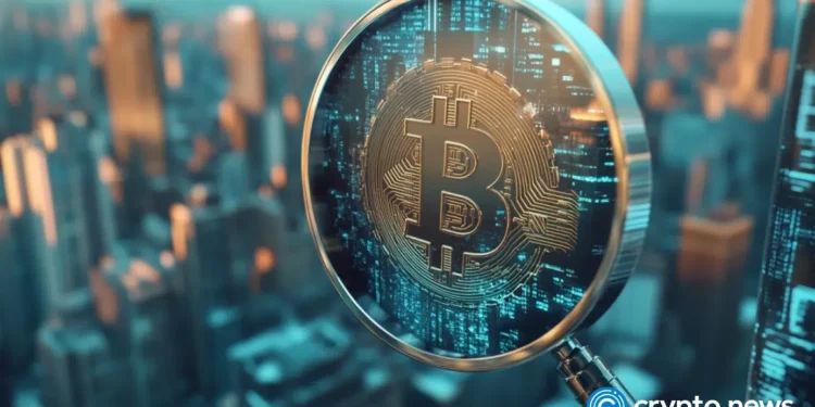 Bitcoin is built to last, Trader Mayne says: Altcoins ‘either bled out or died’