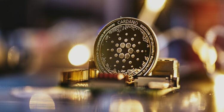 Cardano
