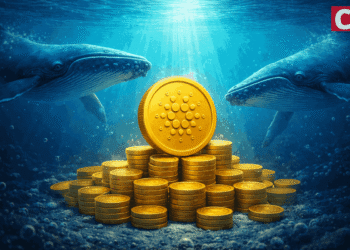 Cardano Price Prediction: Whales Quietly Buy 210 Million ADA – Can ADA hit $100? 