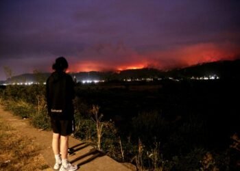 Chile wildfires kill 19 amid extreme heat; scores evacuated