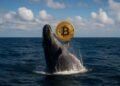 Dormant Bitcoin whale wakes up after 13 years and moves 909 BTC