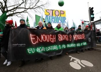 EU lawmakers to vote on whether to launch legal challenge to Mercosur trade deal