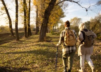 Estate planning helps limit costly mistakes: 'My Mother's Money' author