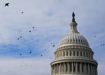 Exclusive-Trump, Congress move to undo Biden-era ban on mining in northern Minnesota