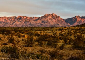 Granite Harbor Capital launches private markets fund