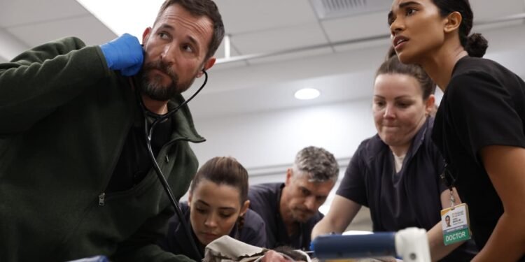 Here’s what’s worth streaming in January 2026 on Netflix, Hulu, HBO Max and more