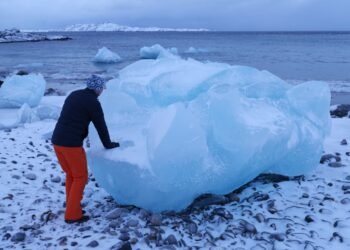 How Greenland could turn into a Big Tech problem, according to Morgan Stanley’s Mike Wilson