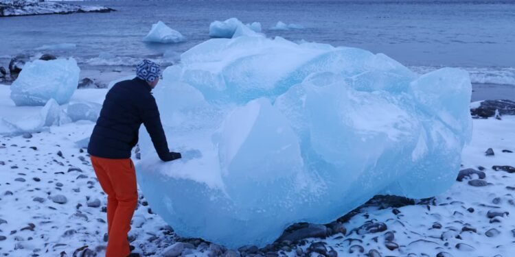 How Greenland could turn into a Big Tech problem, according to Morgan Stanley’s Mike Wilson