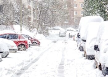 How to Survive in a Winter Storm