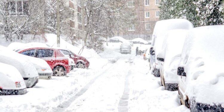 How to Survive in a Winter Storm