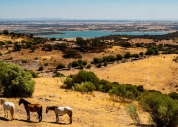 Condé Nast Traveler