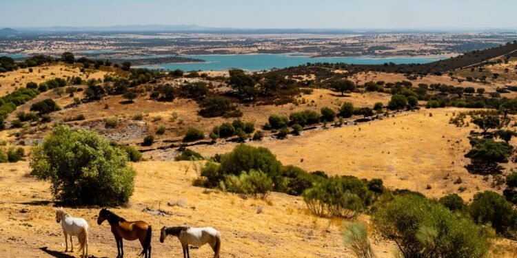 Condé Nast Traveler