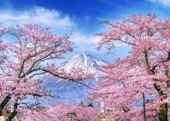 Nomura sees record inflows into alts