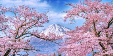 Nomura sees record inflows into alts