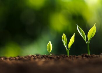 Private credit defaults remain ‘contained’