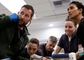 Shows Like ‘The Pitt’ You Should Watch Next