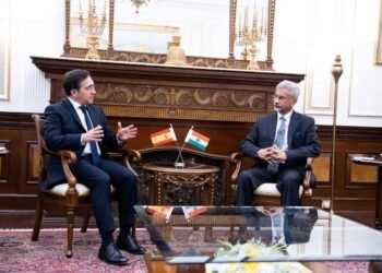 Spain urges EU to create joint army amid Greenland dispute