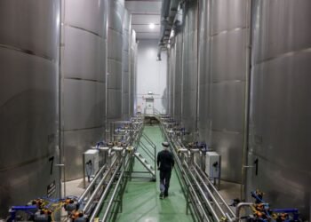 Spain’s November industrial output rises 4.5% year-on-year