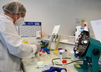 Stocks making the biggest moves premarket: PNC, IBRX, CPNG