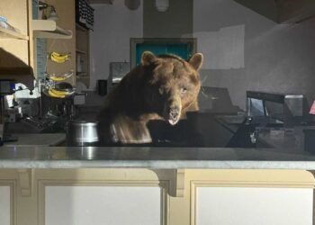 Stocks need to find their footing fast if investors hope to keep the bears away