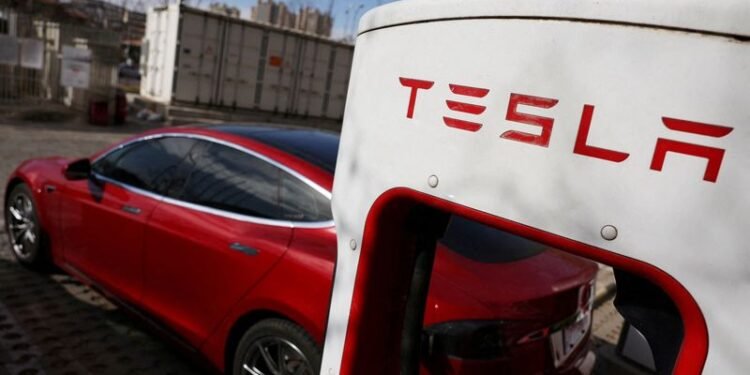 Tesla poised to be early winner as Canada opens door to Chinese-made EVs