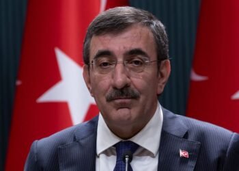 Turkey to forge on with tight economic policy, some fine-tuning, VP Yilmaz says