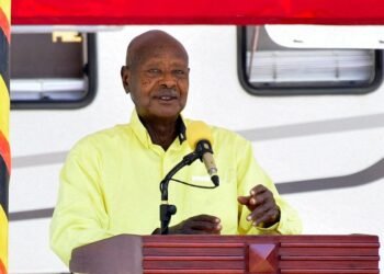 Veteran Ugandan leader eyes new term in election amid succession talk