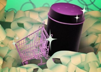 Why Everyone Thought We'd Be Shopping by Voice (and Why That Never Actually Happened)