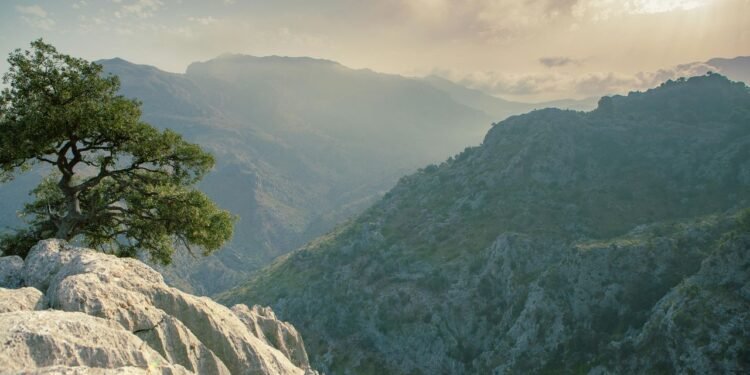 Condé Nast Traveler