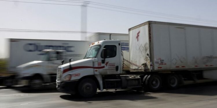 Analysis-Tariff ruling limits Trump’s leverage but won’t end uncertainty for trade partners