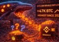 Bitcoin Whale Inflows To Binance Hit Highest Level Since 2022: Distribution Or Repositioning?