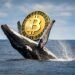 Bitcoin briefly tumbles below $75K, but these investors see a buying opportunity