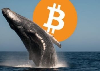 Bitcoin whale Garrett Jin sends $761 million in BTC to Binance