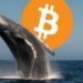 Bitcoin whale Garrett Jin sends $761 million in BTC to Binance