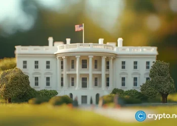 Crypto bros feel the burn