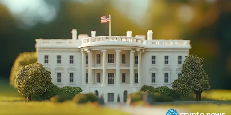 Crypto bros feel the burn