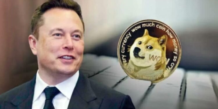 Elon Musk says SpaceX may put Dogecoin on the moon next year