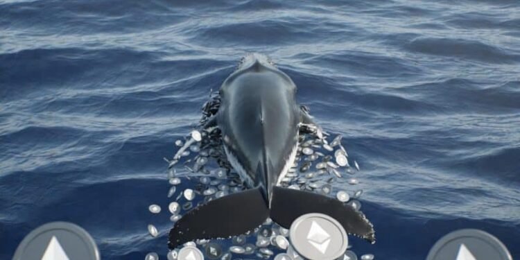 Ethereum whale Trend Research unwinds ETH position as losses reach $747M