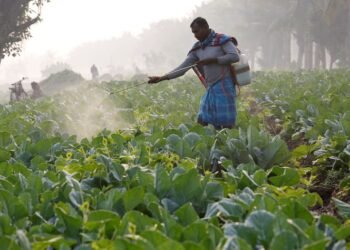 Explainer-India-US trade pact and its impact on millions of Indian farmers