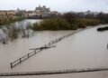 Farmers report ’catastrophic’ damage to crops as Storm Marta hits Spain and Portugal