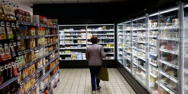 French inflation slows to 0.4% in January
