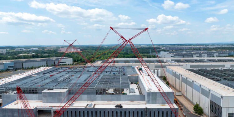 Fund managers alarmed over corporate spending even as optimism at five-year high