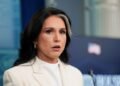 Gabbard rejects claims she withheld whistleblower complaint from Congress
