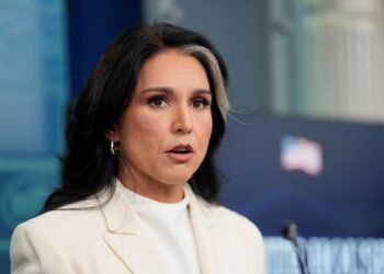Gabbard rejects claims she withheld whistleblower complaint from Congress