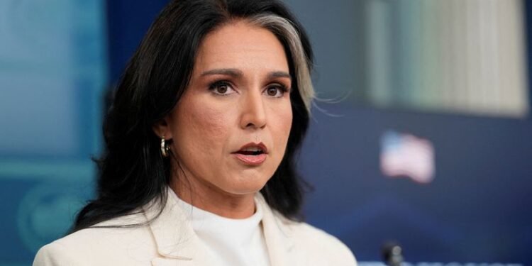 Gabbard rejects claims she withheld whistleblower complaint from Congress