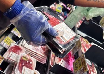 Here’s the inflation breakdown for January 2026 — in one chart